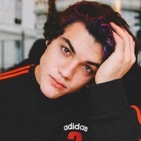 wut dolan