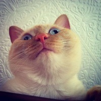 Григориусс Великий