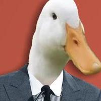 DUCKY