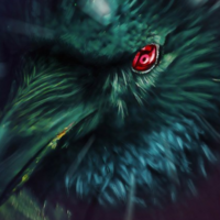 Eye_the_unknown_Crow
