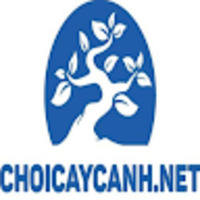 Chơi Cây Cảnh