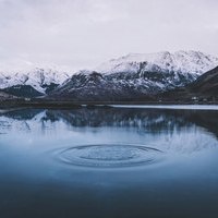 lobanov_dw