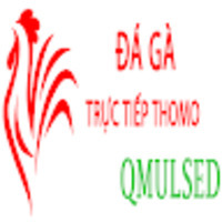 ĐÁ GÀ TRỰC TIẾP LYSET