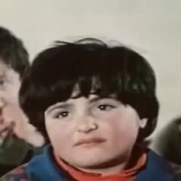 Ted