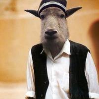 marcellodynamo