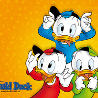 Donald Duck (Walt Disney Classic)