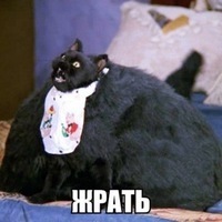 Женя Костиков