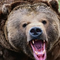 Иван Демидов