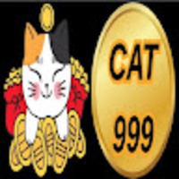 cat999 dev