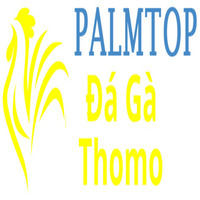 Đá Gà Trực Tiếp Thomo