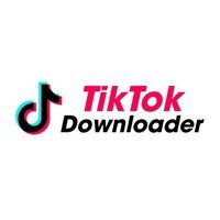 TikTok Downloader