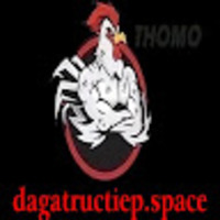 ĐÁ GÀ TRỰC TIẾP SPACE
