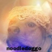 noodledoggo
