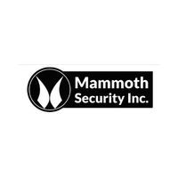 Mammoth Security Inc. Norwalk
