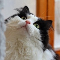Юрий Прокофьев