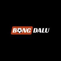 bongdalu2026net
