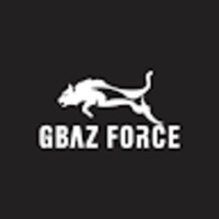 Gbaz Force