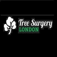 Tree Surgery London - Gardeners