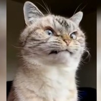 Корпорация зла