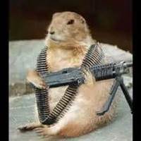 Der_Brot_Pilot