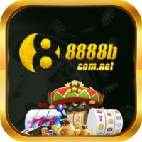 8888bcomnet