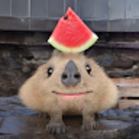 Baka_Baka