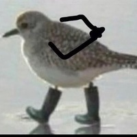 nizshiy pilotazh
