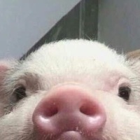 llll