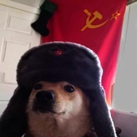 Infinite Pride