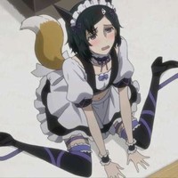 stronky