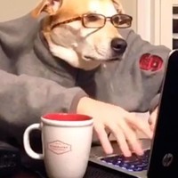 Niki_ror