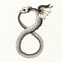 Perfect Loops
