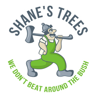 Shane's Trees - Brisbane