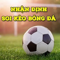 nhandinhbongda