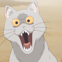 Dictor Constantine Romanenko