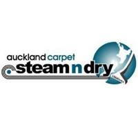 Auckland Carpet Steam n Dry