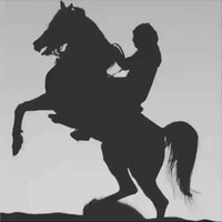Horse 🐎