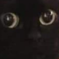 fluffykittyofdeath