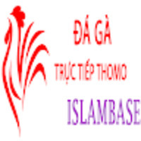 Đá Gà Trực Tiếp Thomo
