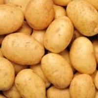 Potadoflhitler