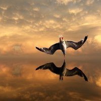WWW - We Wake World