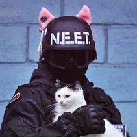 N.E.E.T. Skra