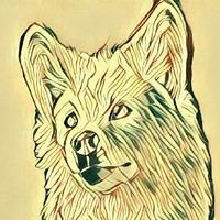 Baskrio