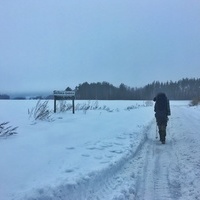 Андрей Дибров