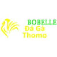 Đá Gà Trực Tiếp Thomo