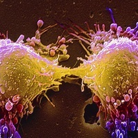 Offensive_Cancer_