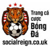 Social Reign