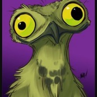 Crazy Owl