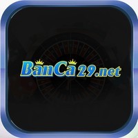 banca29net