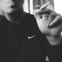 ポーリン・ダニエル ノビコフ